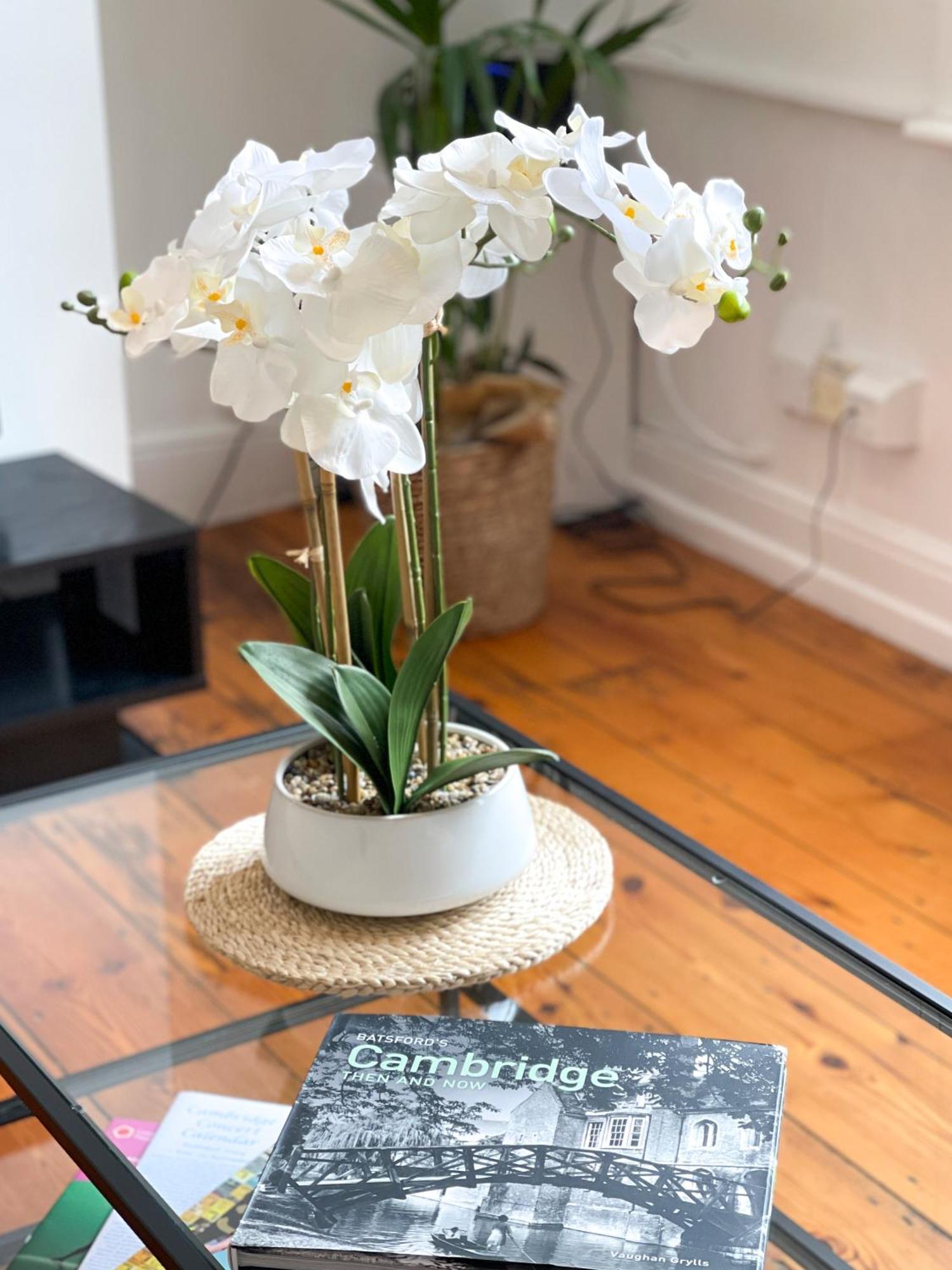Fantastic Victorian House, Excellent City Location - Cambridge Homehost Luaran gambar
